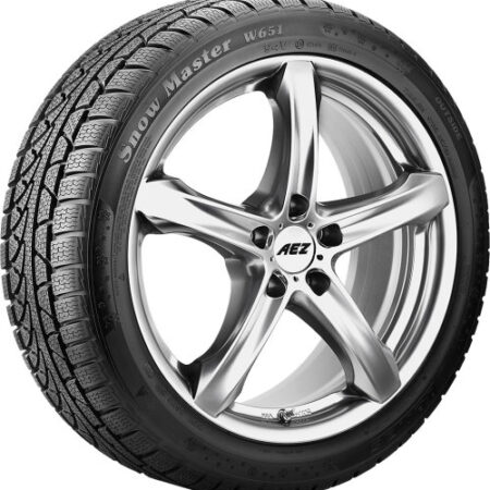 Petlas Snow Master W651 225/60 R16 98H